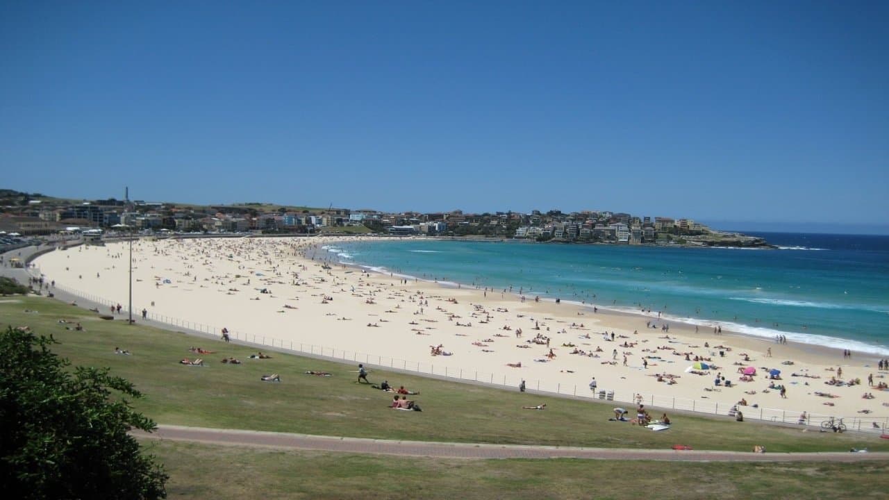 Bondi Rescue backdrop