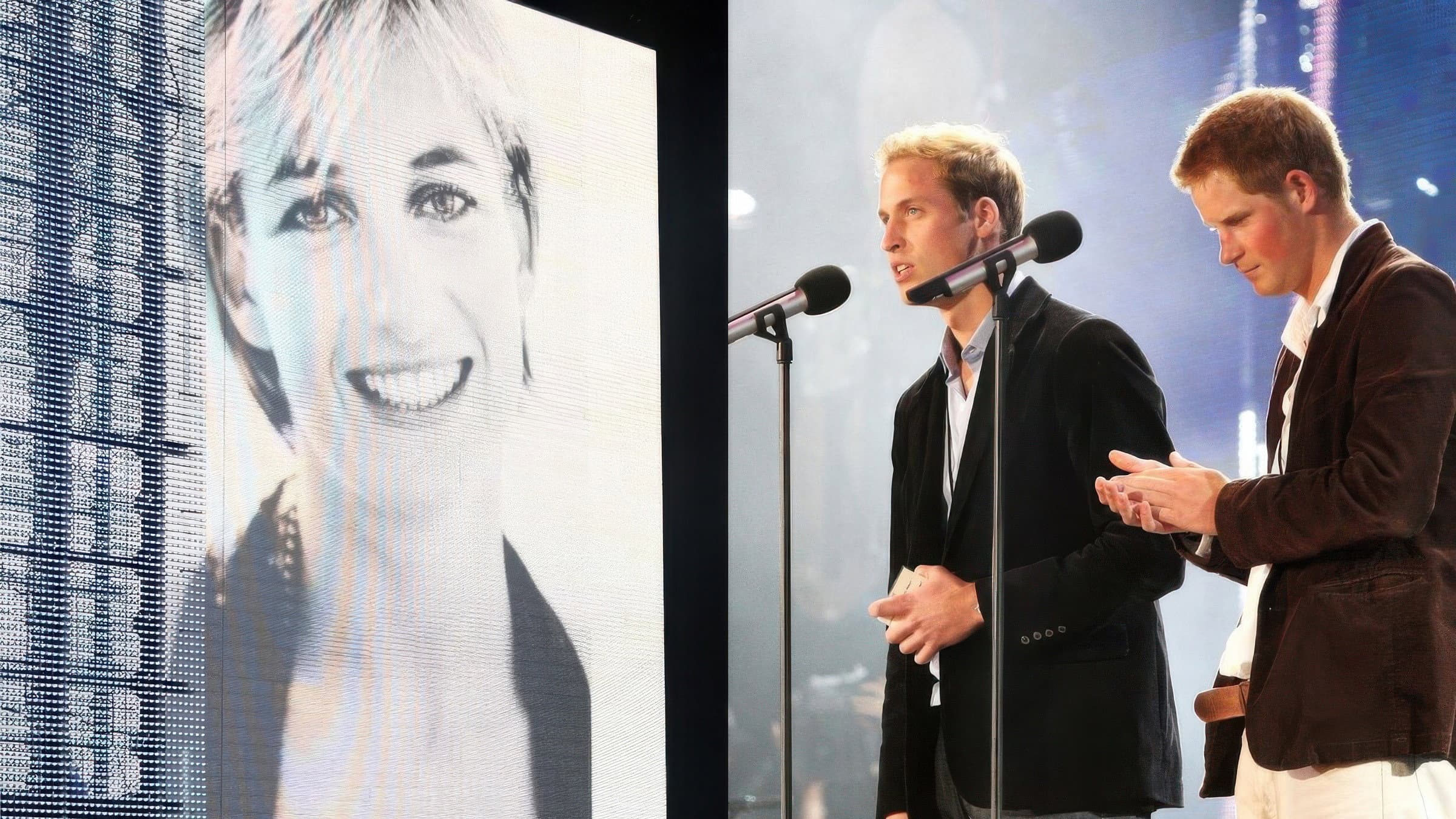 Concert for Diana backdrop