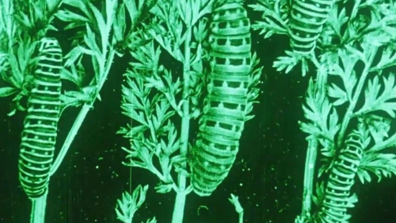 Water, Klimaat en Film backdrop